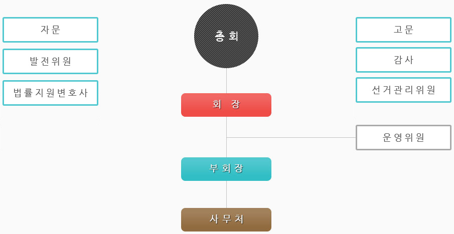 창원시사회복지사협회 조직도